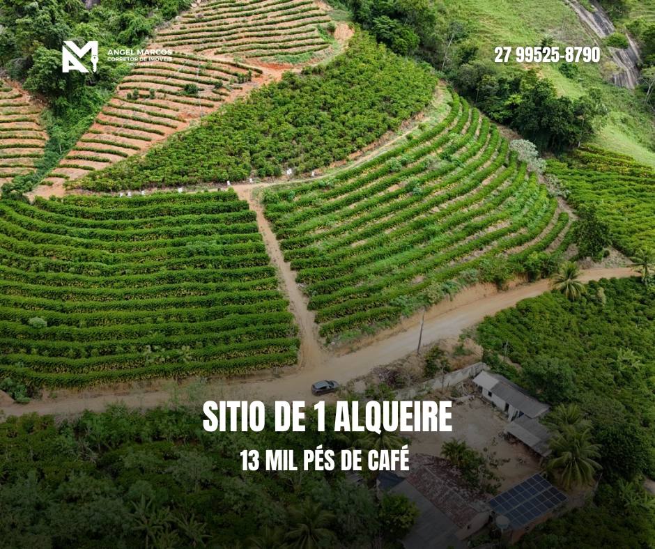 Sítio com café a venda em Nova venécia-ES